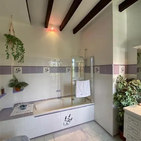Le Petit Manoir De Campagne 게스트하우스 4*