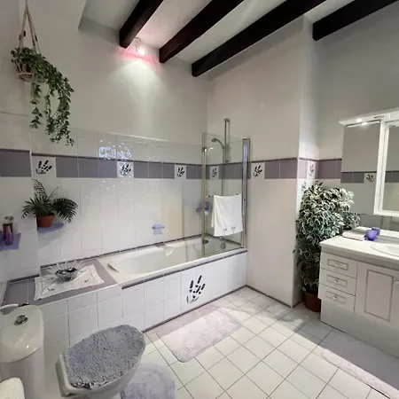 Le Petit Manoir De Campagne 게스트하우스 4*
